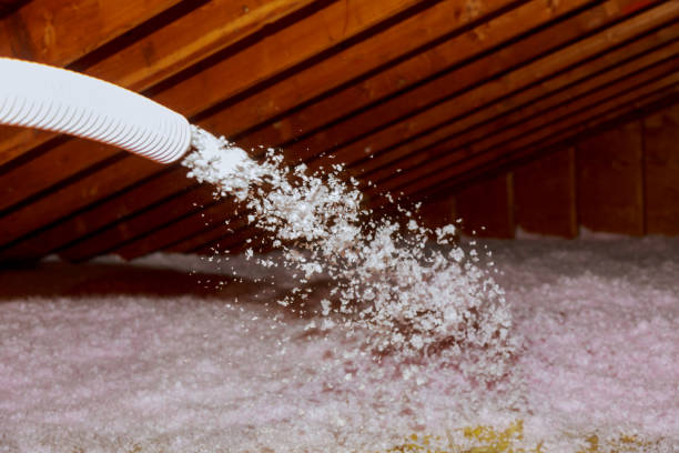 Best Garage Insulation Installation  in Albion, IL