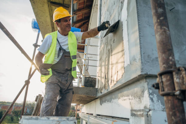 Best Insulation Contractors for Homes  in Albion, IL