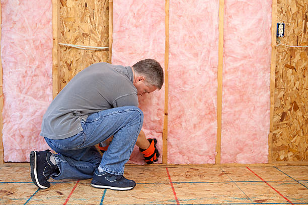 Insulation Contractors for Homes in Albion, IL