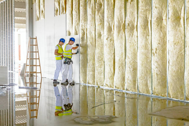 Insulation Replacement Services in Albion, IL